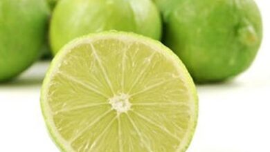 خواص و فواید شگفت انگیز لیمو ترش بر روی سیستم ایمنی بدن + عکس
