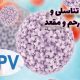 زگیل تناسلی و اچ پی وی HPV