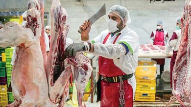 گوشت روسیه در ایران
