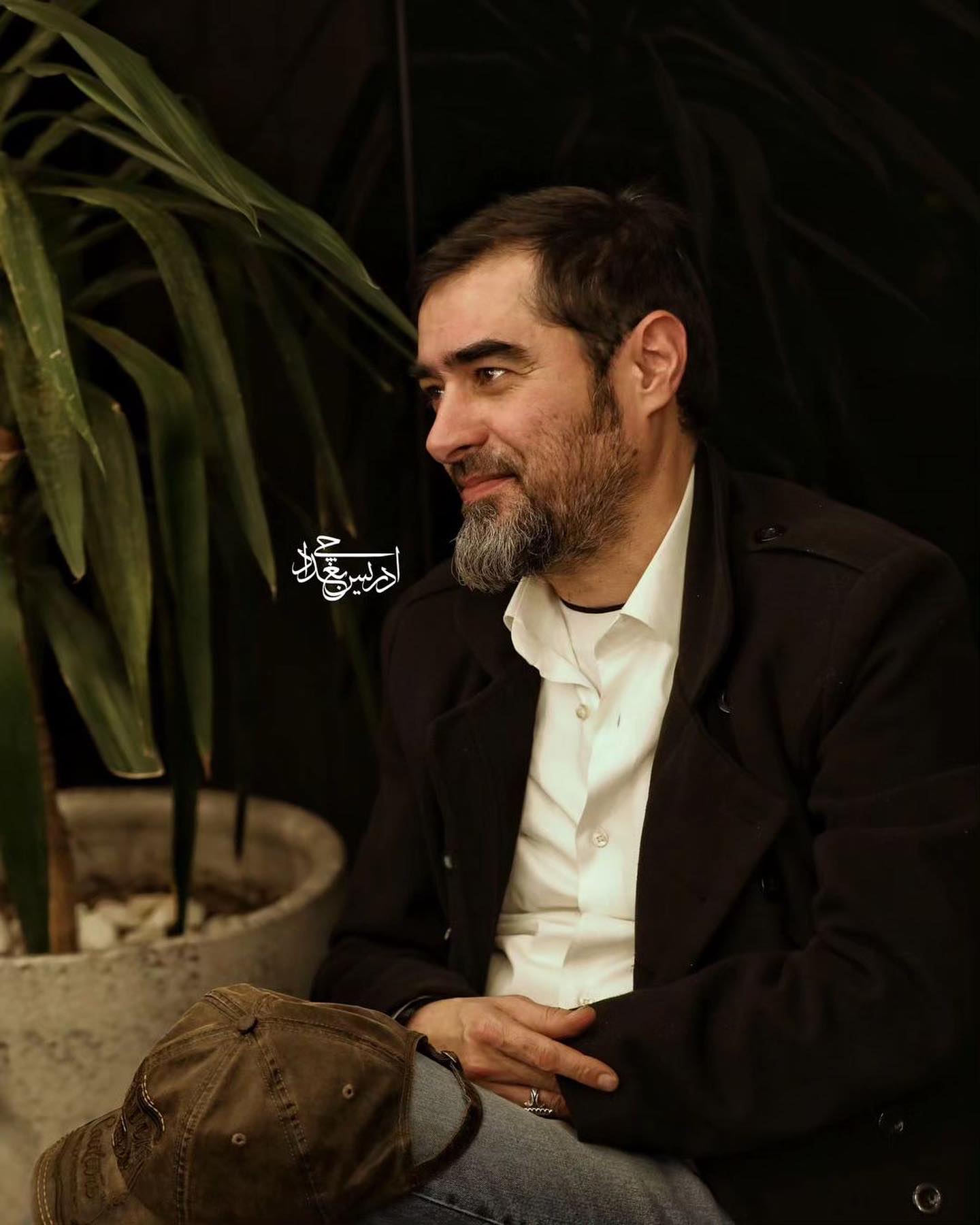 شهاب حسینی در مراسم نقد برسی مقیمان ناکجا