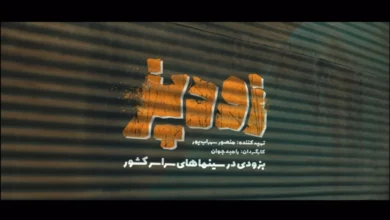 درباره فیلم زودپز