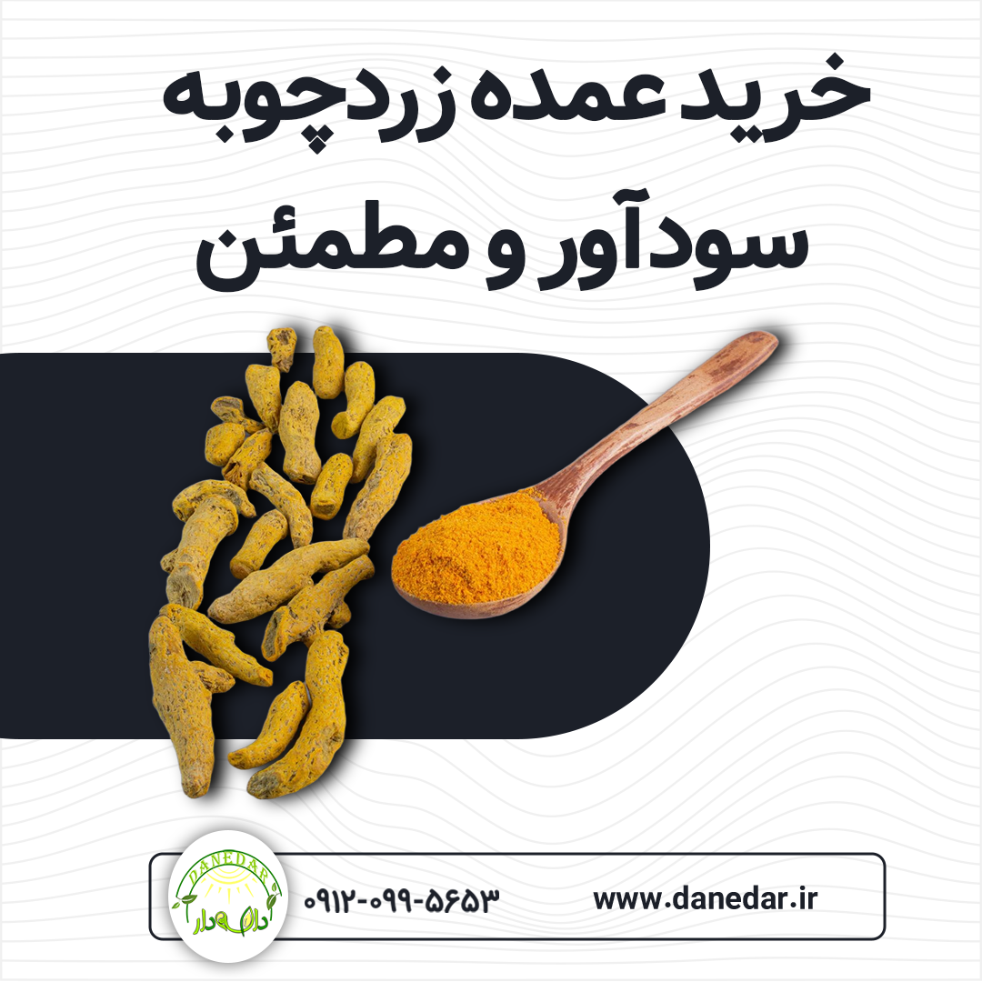 زردچوبه قلم و پودر زردچوبه