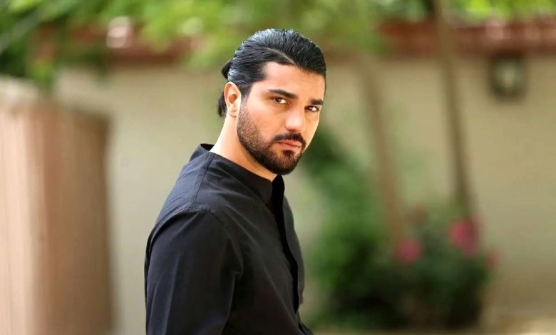 بیوگرافی سینا مهراد بیوگرافی سینا مهراد