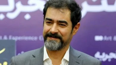 زندگی شخصی و تحصیلات شهاب حسینی