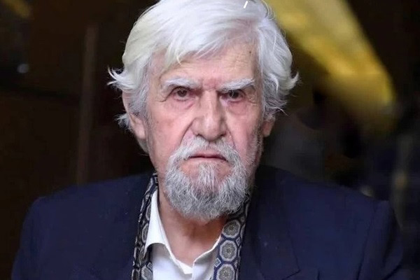 فعالیت هنری عنایت بخشی